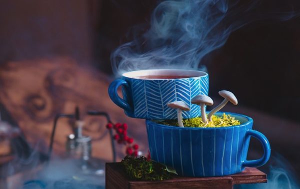Microdosing Magic Mushroom Tea
